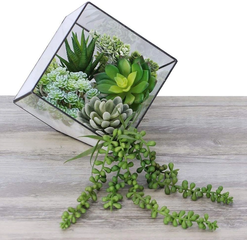 6 PCS Unpotted Fake Succulents Assorted Faux Succulent in Different Artificial Hanging Succulents Textured Faux Succulent Pick Hanging String of Pearls Plant