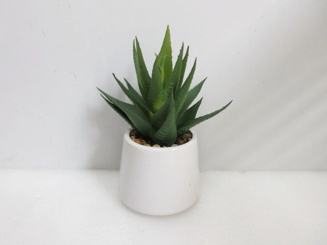 Realistic Decorative Artificial Small Potted Plants Wholesale Fake Plants Succulent