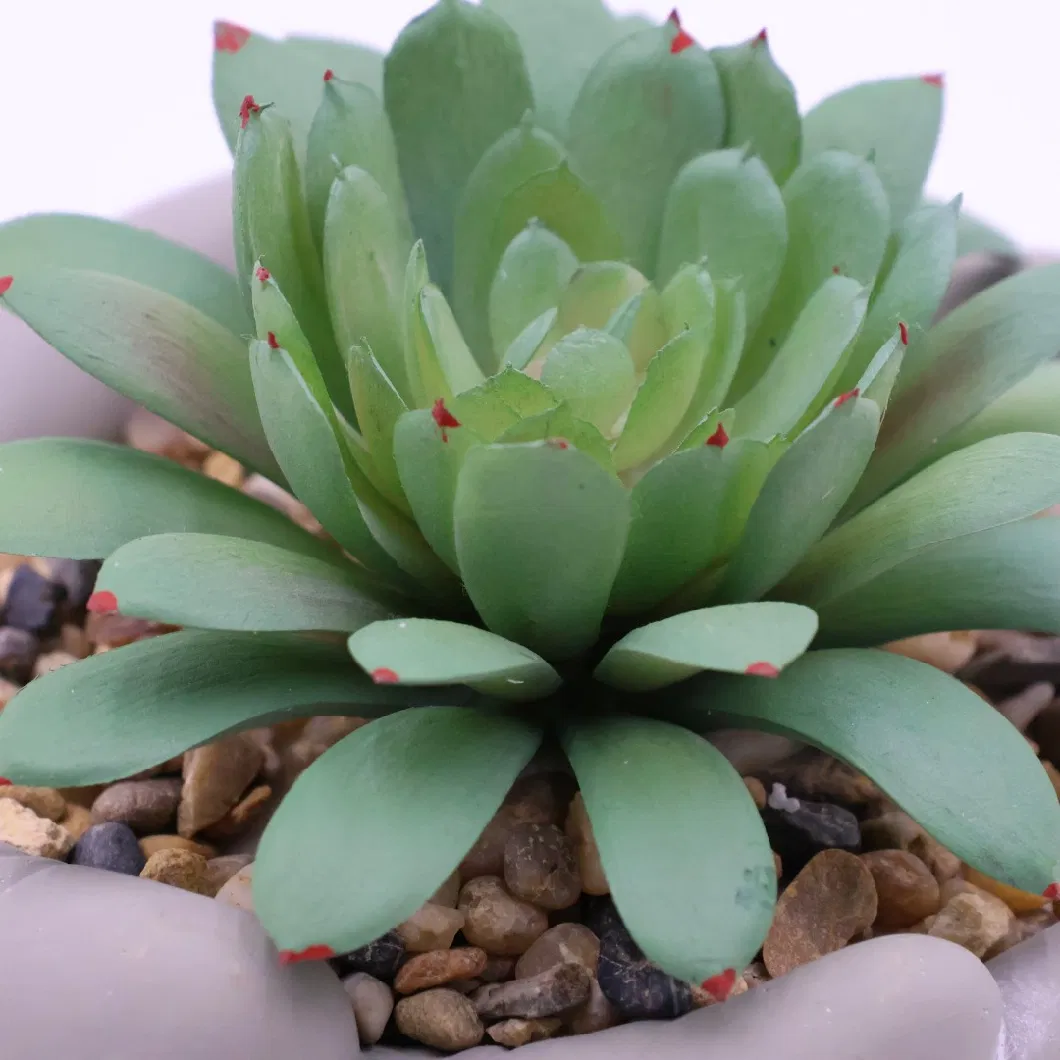 Desk Decoration Realistic Fake Succulent Plant for Home Decor Indoor