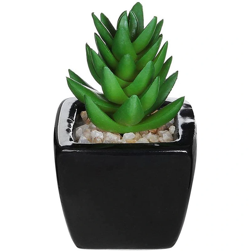 3PCS Small Mini Potted Succulents Plants Arrangements Artificial Fake Plants in Pots