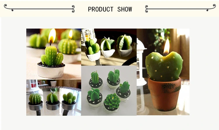 Succulent Cactus Tea Light Candles for Birthday Party Favors Wedding Decor Gift Sets