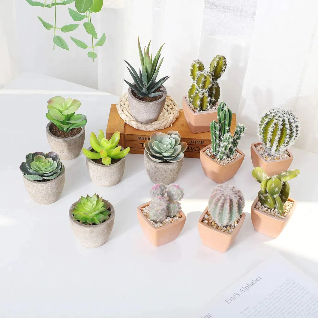 Factory Popular Mini Artificial Plant Succulent Potted Plants Decorative Plastic Faux Cactus with Pots, Pack of Set 6