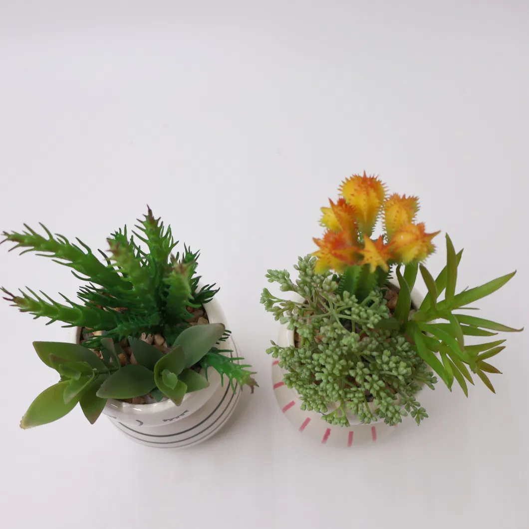 Wholesale Plastic Bonsai Simulation Plants Small Decor Artificial Flowers Mini Succulent Plants