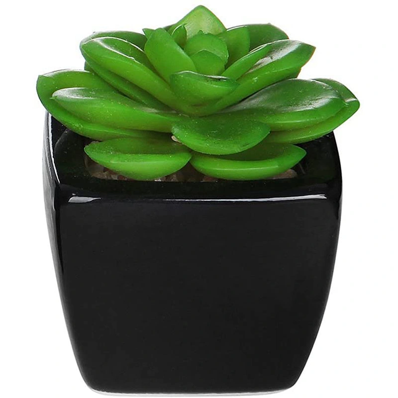 3PCS Small Mini Potted Succulents Plants Arrangements Artificial Fake Plants in Pots