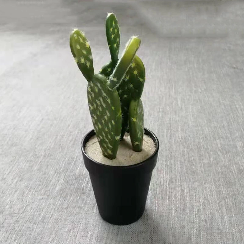 Faux Artificial Cactus Succulents Potted with Plastic Material White Base for Desk Decoration House Decoration