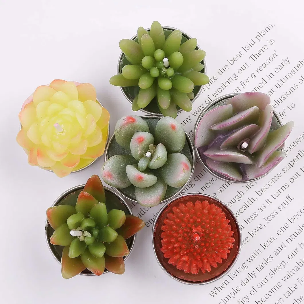 Succulent Cactus Tea Light Candles for Birthday Party Favors Wedding Decor Gift Sets