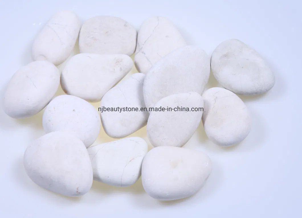 Rocks for Succulent Plants or Bonsai Garden, Bulk Bag &ndash; White Decorative Gravel Pebbles for Plants 2022