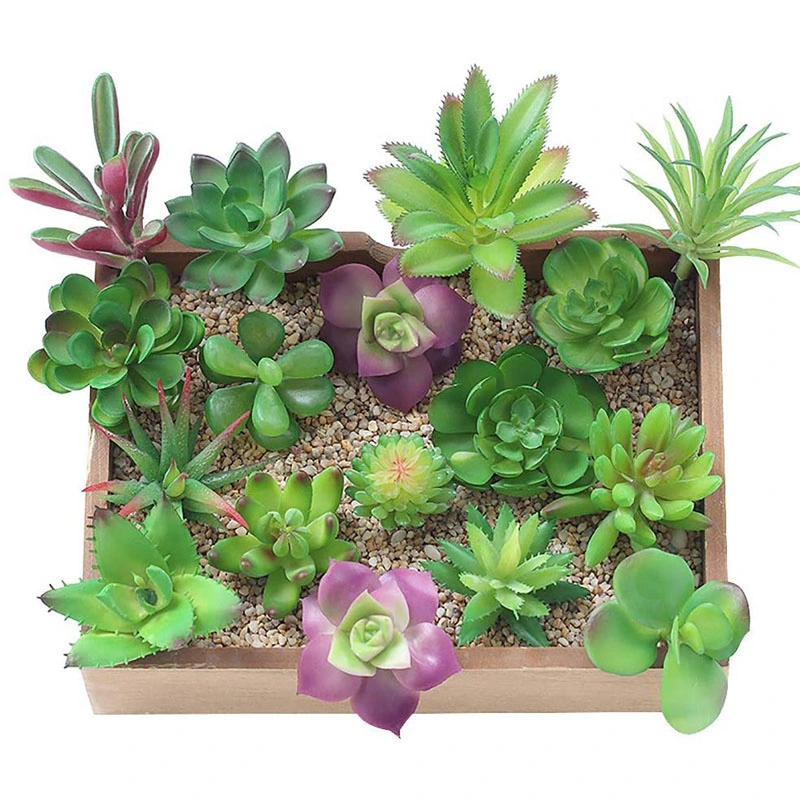 China Factory Mini Artificial Succulents Picks Echeveria Korea Artificial Succulents