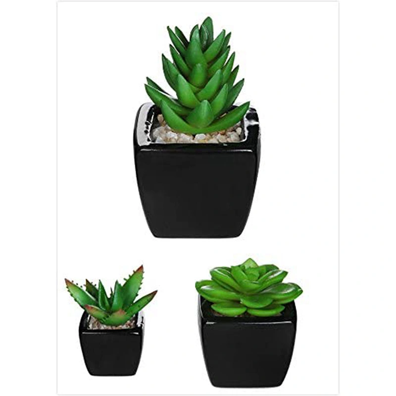 3PCS Small Mini Potted Succulents Plants Arrangements Artificial Fake Plants in Pots