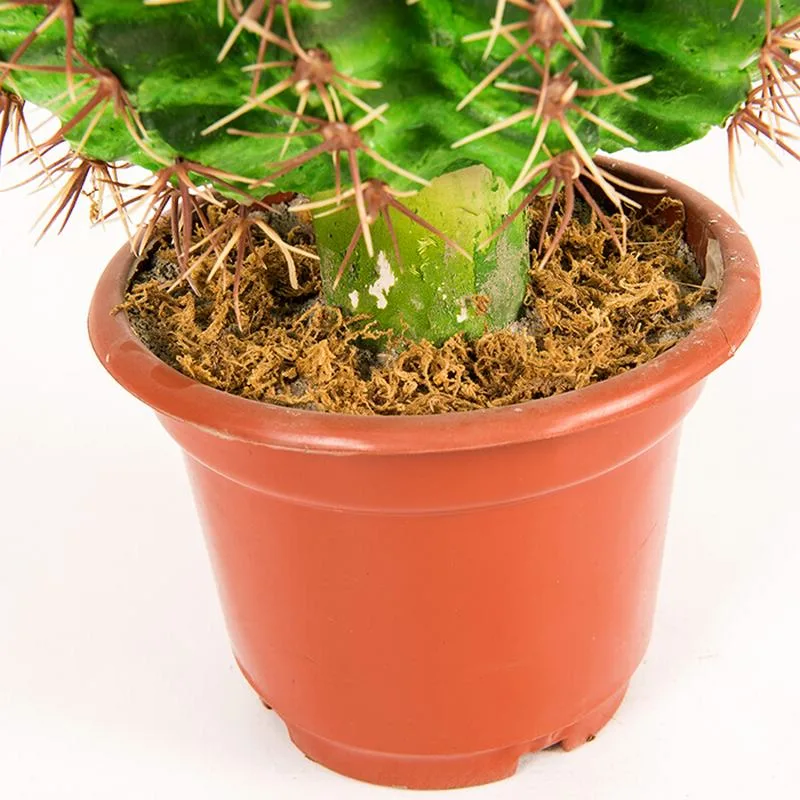 Lucky Decoration Wholesales Artificial Cactus Bonsai Plant for Decoration