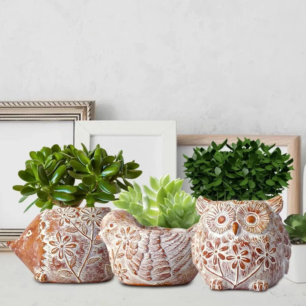 Succulent Cactus Planters for Animal Outdoor Decor