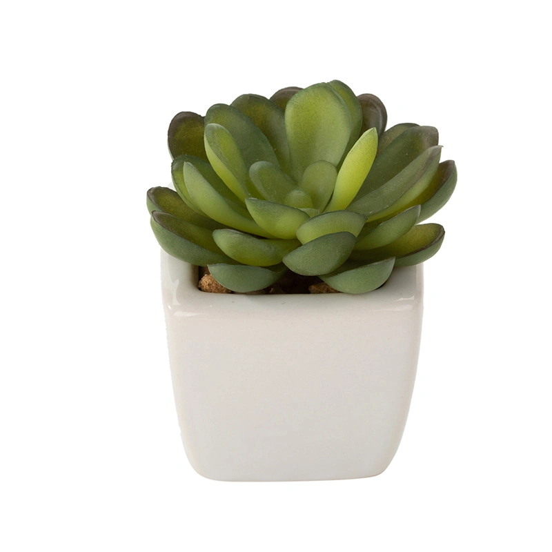 Indoor Design Brilliant White Ceramic Succulent Pots Customized Planter