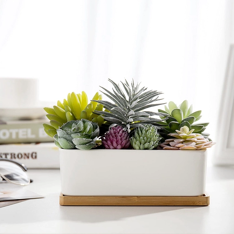 Potted Artificial Succulents in Ceramic Pot with Bamboo Tray