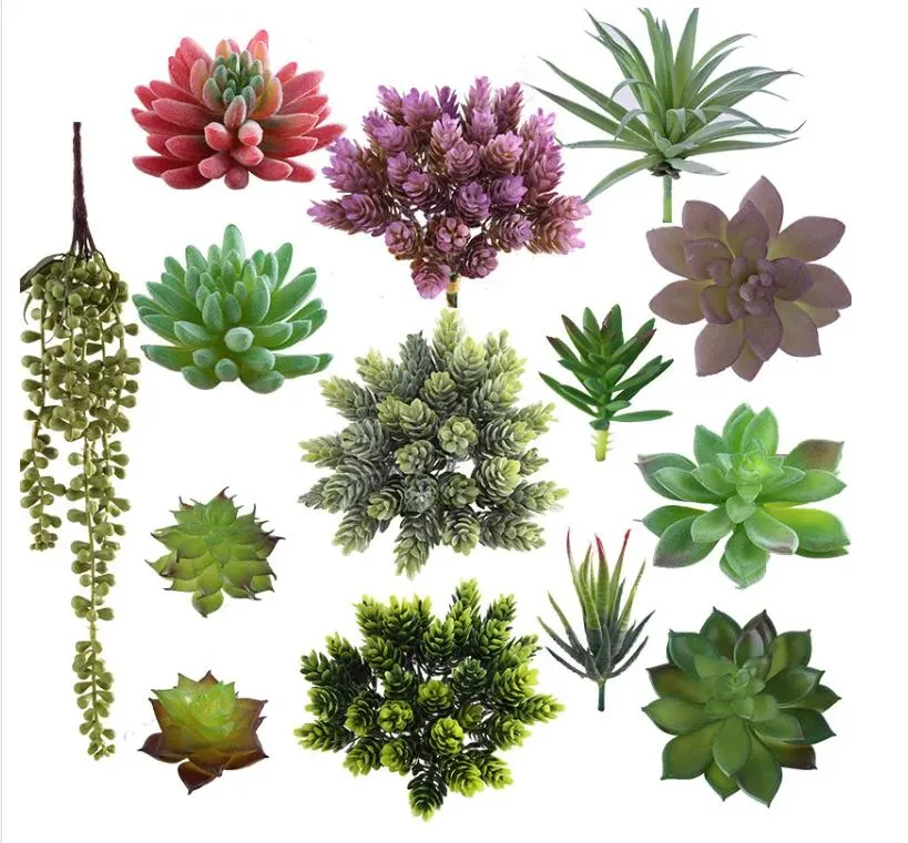 Colorful Simulation Decorative Plastic Artificial Succulent Plants for Indoor Table