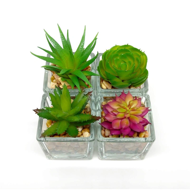 Small Glass Cube Artificial Succulent Planters 4 Set Assorted Faux Plants with Smooth Rocks