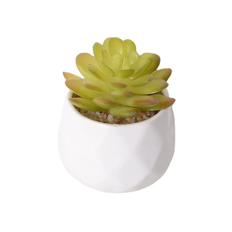 Home Decoration Simulation Grass Artificial Succulents Plants with Cement Pots