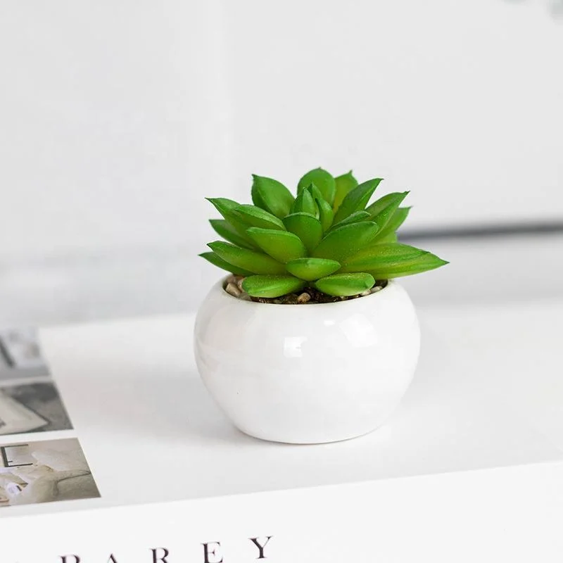 Potted Artificial Mini Potted Succulent Plants Home Decoration