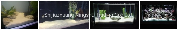 Premium Quality Shiny Black Sands for Decorate Vase, Fish Tank, Terrariums