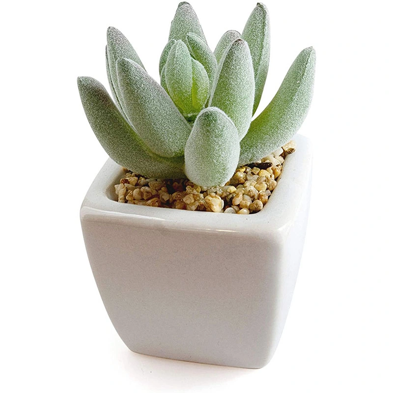 Set of 5 Artificial Succulent Plants in Ceramic Pots - Assorted Fake Succulents - Mini Succulent Plants - Small Succulent Plants for Decor