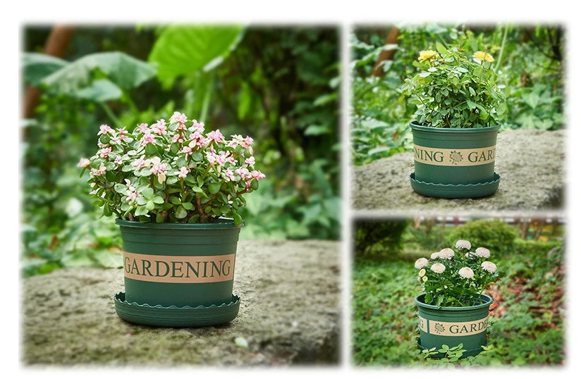 Printed Colored Air Pruned Flower and Plant Nursery Grow Garden Decoration Pot with Customized Logo