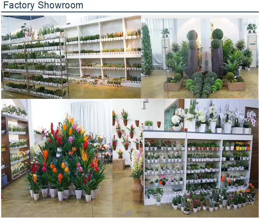 Factory Popular Mini Artificial Plant Succulent Potted Plants Decorative Plastic Faux Cactus with Pots, Pack of Set 6
