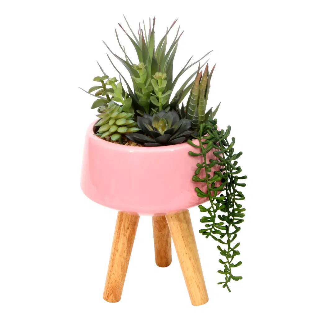 Colorful Simulation Decorative Plastic Artificial Succulent Plants for Indoor Table