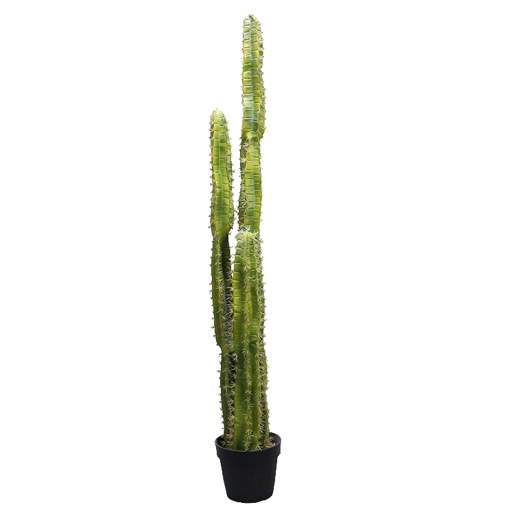 Perfect Quality High Cactus Column Bonsai Decoration Artificial Cactus Potted Plants