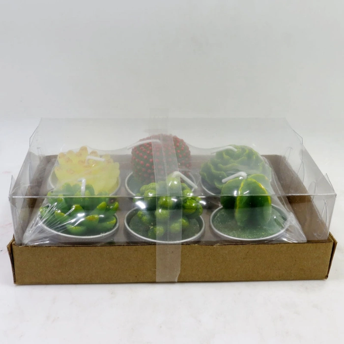 Shop Online China Product Paraffin Wax Cactus Candle 12PC in Box