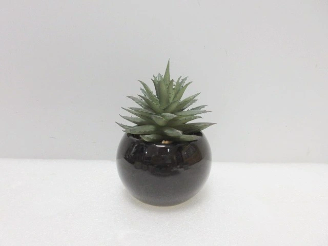 Realistic Decorative Artificial Small Potted Plants Wholesale Fake Plants Succulent