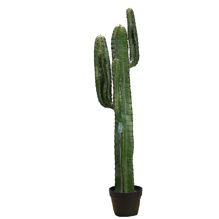 Living Room Decorative Plastic Green Plant Faux Potted Plant Cactus Artificial