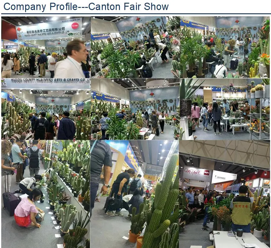Factory Popular Mini Artificial Plant Succulent Potted Plants Decorative Plastic Faux Cactus with Pots, Pack of Set 6