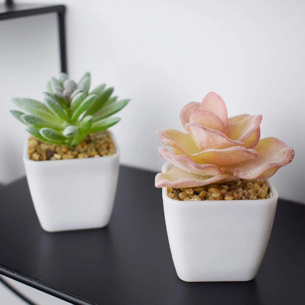 Fake Succulent Plants Artificial Flower Faux Succulents 12PCS Mini Plastic Potted Artificial Plant for Home Decor Office Table Bathroom Dorm Decoration