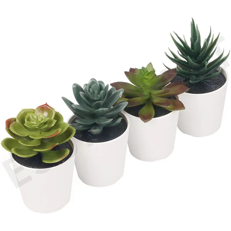 Wholesale White Ceramic Mini Pots for Plants Square Succulents Plant Pots