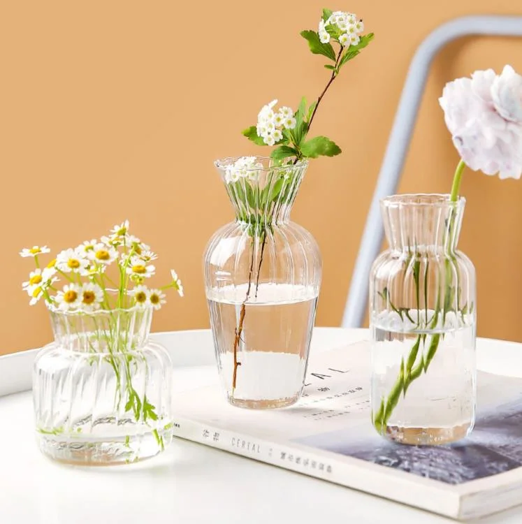 Glass Vase Bulk Cylinder Flower Home Decor Glass Flower Pot Decoration Long Clear Wholesale Wedding Plant Glass Vase for Flowers