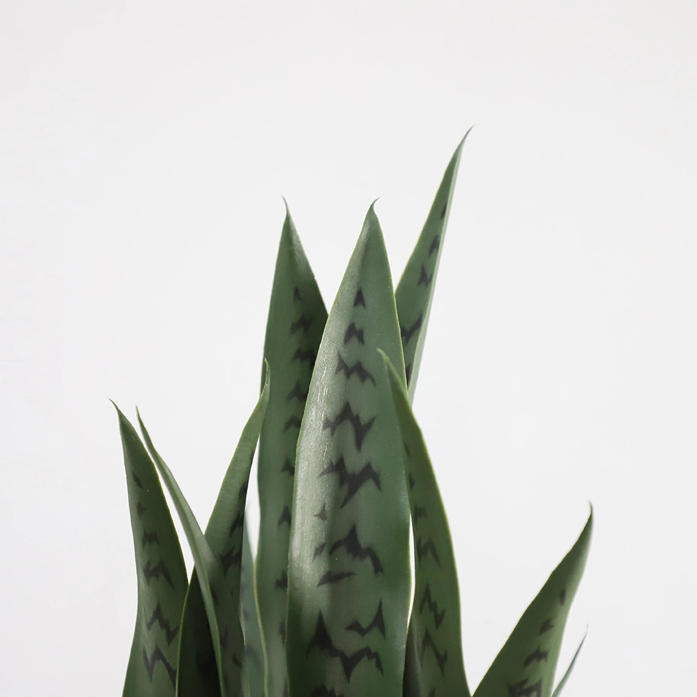 Hot Selling Mini Plastic Ornamental Indoor Sansevieria Bonsai Decoration Artificial Snake Plants