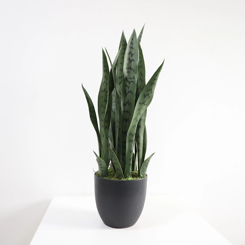 Hot Selling Mini Plastic Ornamental Indoor Sansevieria Bonsai Decoration Artificial Snake Plants