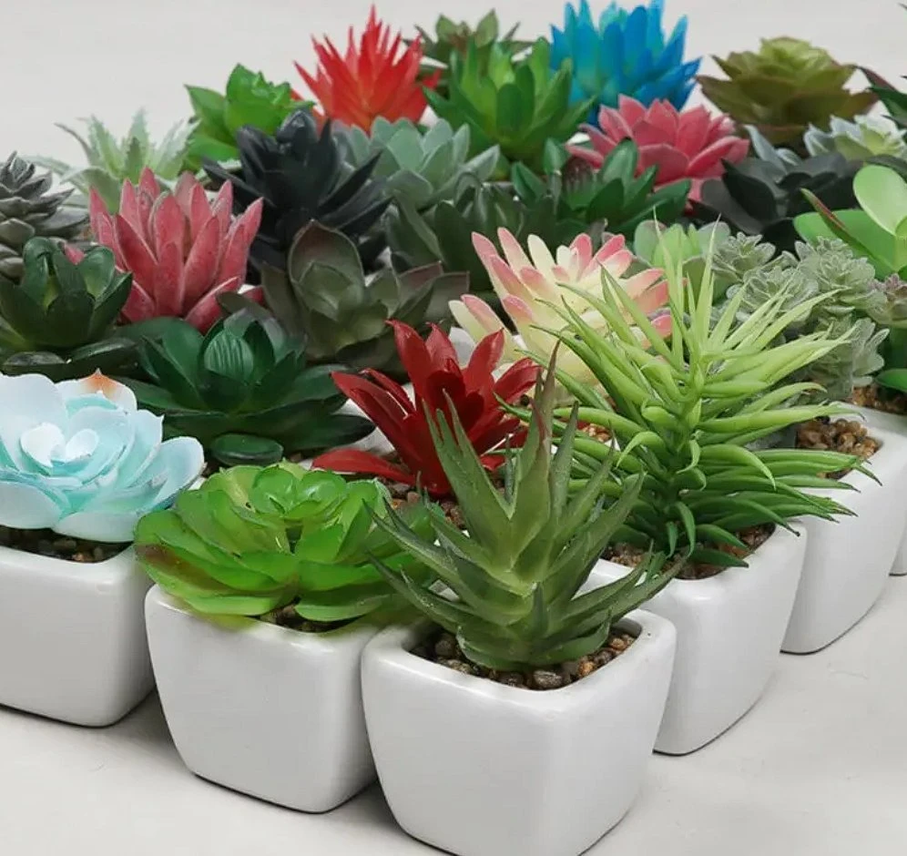 Succulents Small Plants Mini Succulent Pots Home Decoration