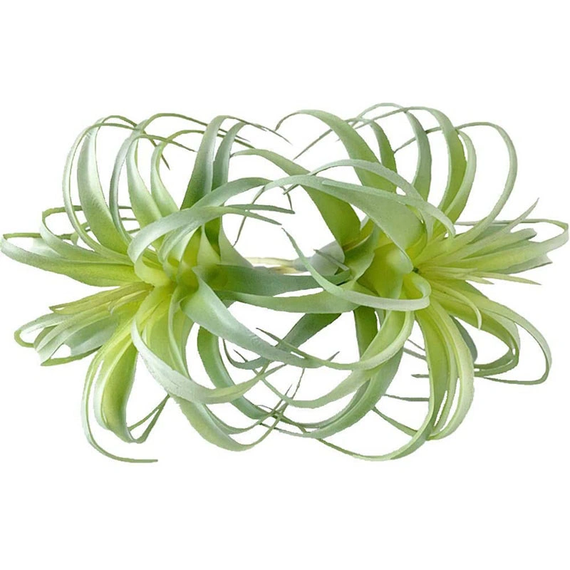 2 PCS Artificial Succulents Plants Unpotted Fake Flocking Tillandsia Air Plants Succulent Bromeliads Bouquet Arrangements Faux Plants DIY for Decor