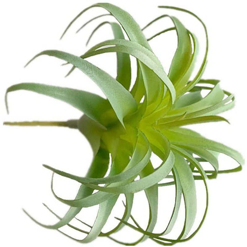 2 PCS Artificial Succulents Plants Unpotted Fake Flocking Tillandsia Air Plants Succulent Bromeliads Bouquet Arrangements Faux Plants DIY for Decor