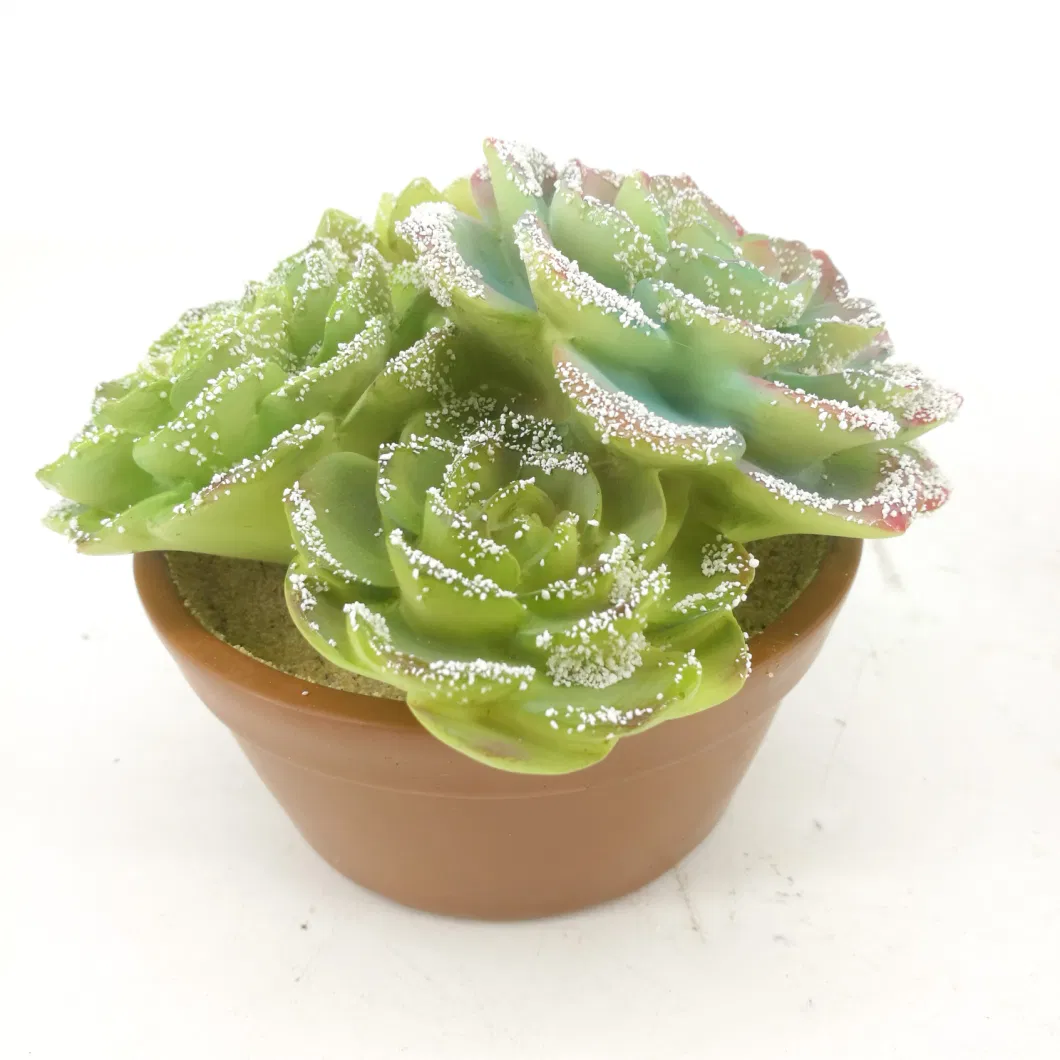 2017 Hot Sale New Collection Small Succulent Pots