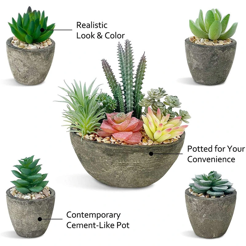 Succulents Plants Artificial Set of 5, Realistic Fake Succulents