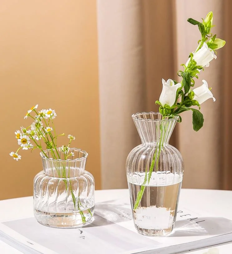Nordic Creative Striped Bubble Vase Hand Blown Clear Flower Arrangements Glass Vases for Home Decoration
