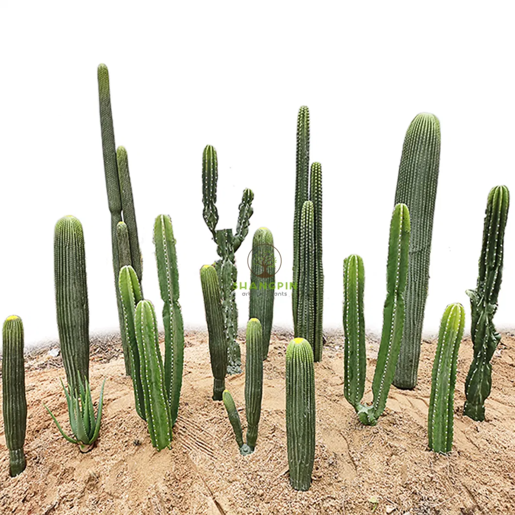 Cactus Plants Artificial Cactus Potted Plants Desert Style