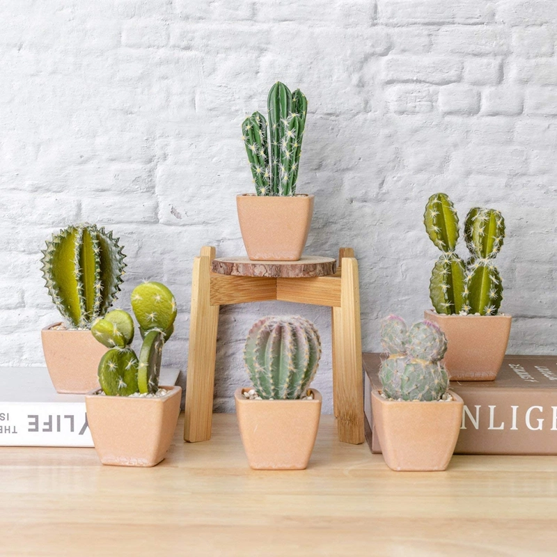 Mini Artificial Potted Plants Pack of 6, Small Decorative Faux Succulents in Pot