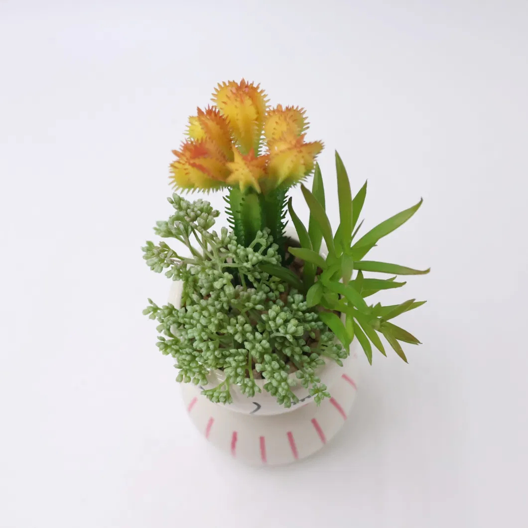 Wholesale Plastic Bonsai Simulation Plants Small Decor Artificial Flowers Mini Succulent Plants