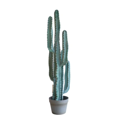Maceteros artificiales para Tailandia Cactus Bailarin Vasos de suculentas E Cactus
