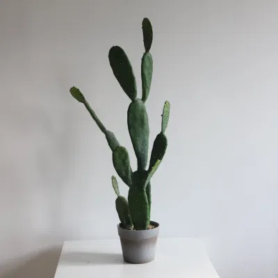 Planta de Cactus Artificial Venta en caliente planta de Cactus Artificial para el hogar Decoración