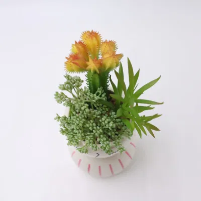Suculents al por mayor Bonsai Artificial plantas Interiores Suculents artificiales plantas