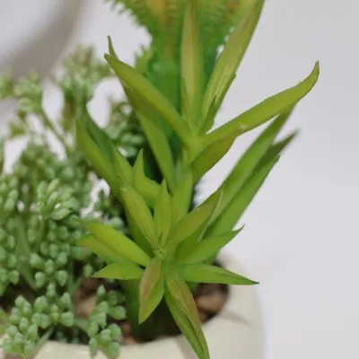 Suculents al por mayor Bonsai Artificial plantas Interiores Suculents artificiales plantas