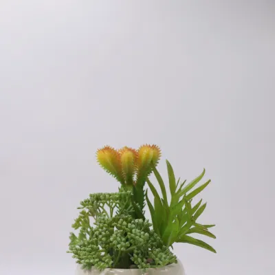 Suculents al por mayor Bonsai Artificial plantas Interiores Suculents artificiales plantas